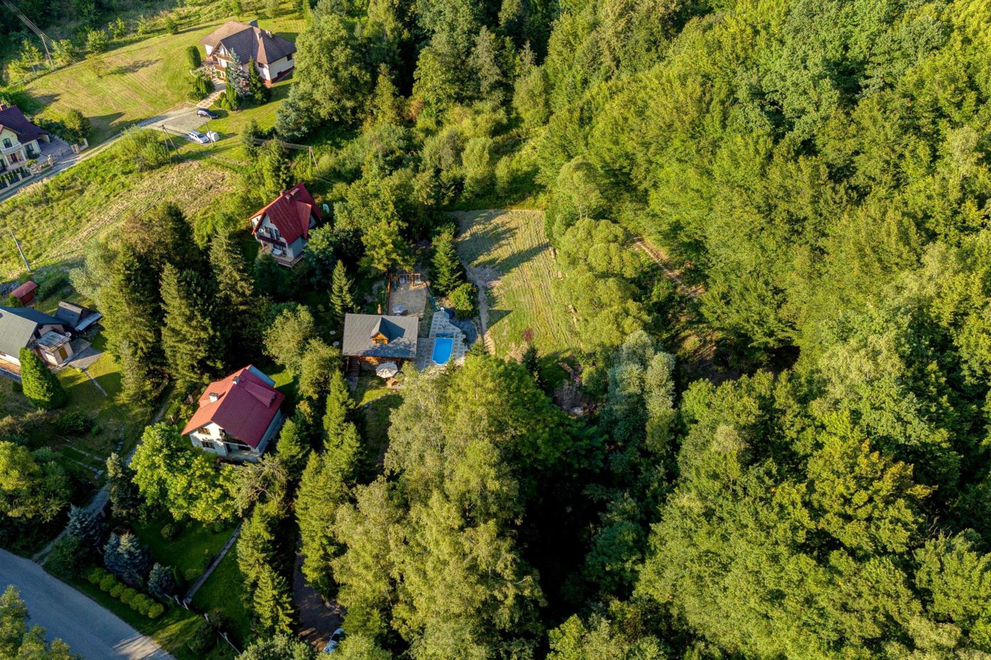 Polana Slowikowa 5 Star- Domek W Gorach Z Jacuzzi, Sauna,Basen,Ogrod Z Lasem, Kominek I Narty Stroza  Zewnętrze zdjęcie